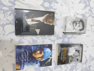 Lotto 4 Libri Danielle Steel Hemingway Cazzullo