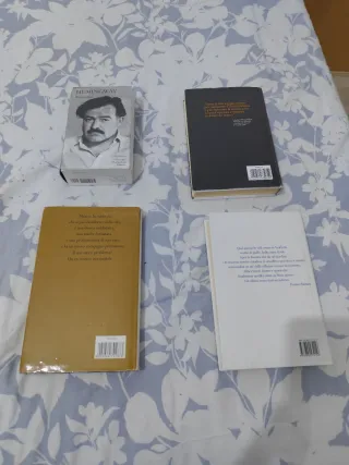 Lotto 4 Libri Danielle Steel Hemingway Cazzullo