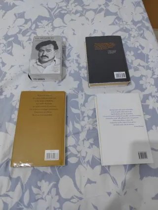 Lotto 4 Libri Danielle Steel Hemingway Cazzullo