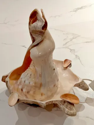 Lámpara de mesa conchas marinas
