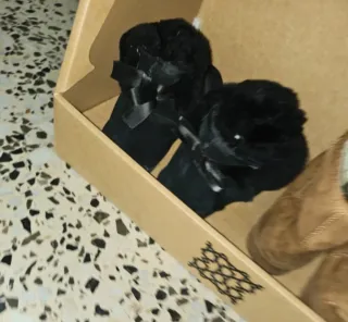 Botas de invierno con pelo