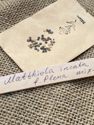 Set completo “Giardino Colorato”