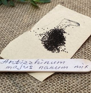 Set completo “Giardino Colorato”