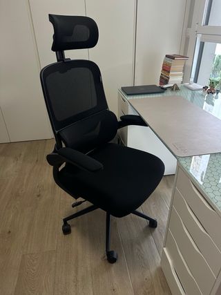 Silla de escritorio ergonómica HBADA P1