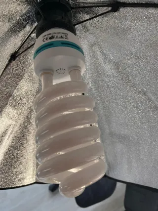 2 Focos de estudio Kshoo