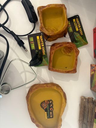 Terrario con accesorios para reptiles