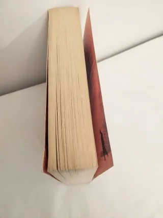 The Shadow of the Wind