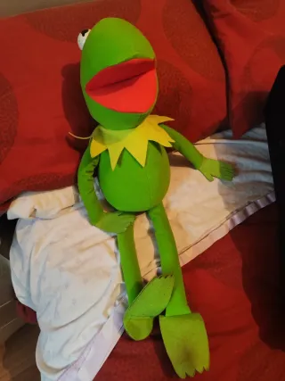 Barriguitas y Rana Gustavo