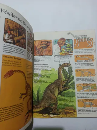 Lote 2 libros La prehistoria ilustrada para niños