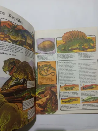 Lote 2 libros La prehistoria ilustrada para niños