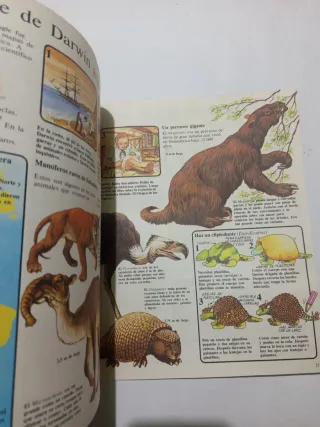 Lote 2 libros La prehistoria ilustrada para niños