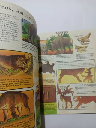 Lote 2 libros La prehistoria ilustrada para niños