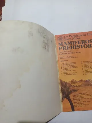 Lote 2 libros La prehistoria ilustrada para niños