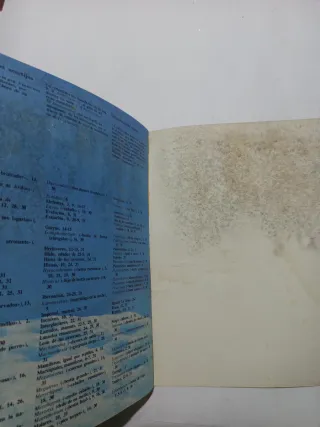 Lote 2 libros La prehistoria ilustrada para niños