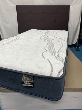 Canape Abatible y Colchon Visco 105x190