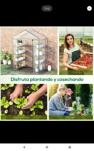 Invernadero con estantes