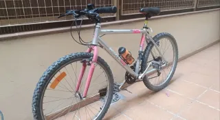 Bicicleta Montaña Super BH King Size