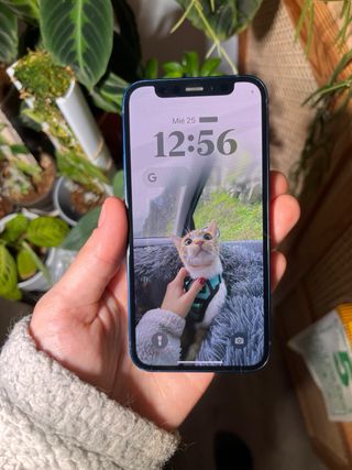 iPhone 12 mini 64 GB Azul