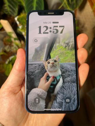 iPhone 12 mini 64 GB Azul