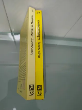2 libros saga Dilvish el maldito