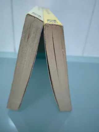 2 libros saga Dilvish el maldito