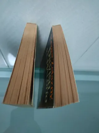 2 libros saga Dilvish el maldito