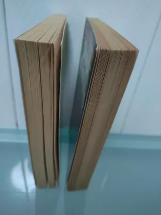 2 libros saga Dilvish el maldito