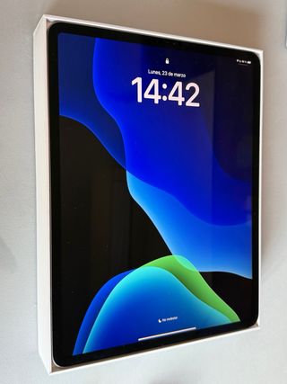 iPad Pro 12.9 4ª Gen 256GB