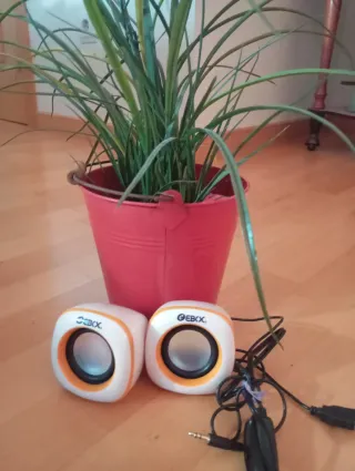 Altavoces Vintage Ebox Blancos y Naranjas