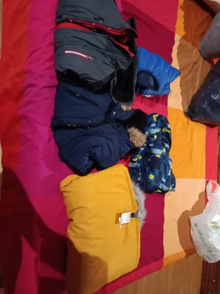 Lote 5 chaquetas niño Talla 4/5 años