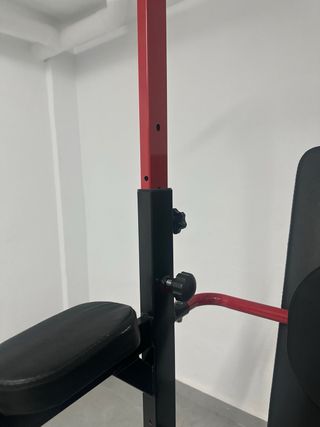 Máquina multiestación Dominadas