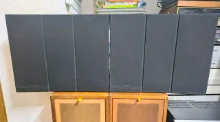 Bang & Olufsen Beovox RL1000