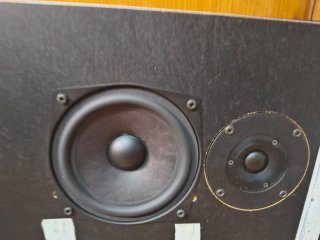 Bang & Olufsen Beovox RL1000