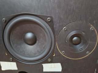 Bang & Olufsen Beovox RL1000