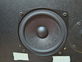 Bang & Olufsen Beovox RL1000