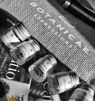 Set Descubrimiento Botanicae 2020