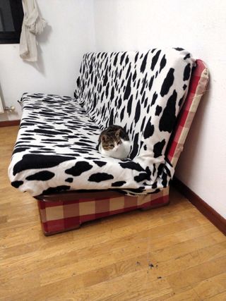 Sofá Cama Cómodo y Plegable