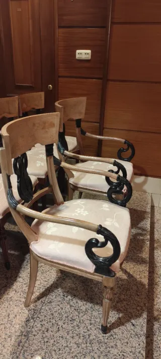 Conjunto de 8 Sillas y 2 Sillones Comedor