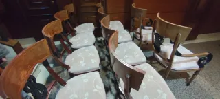 Conjunto de 8 Sillas y 2 Sillones Comedor