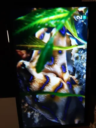 Televisor Samsung UE22D5003BW negociable