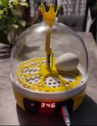 Jaula para conejos y pequeños animales