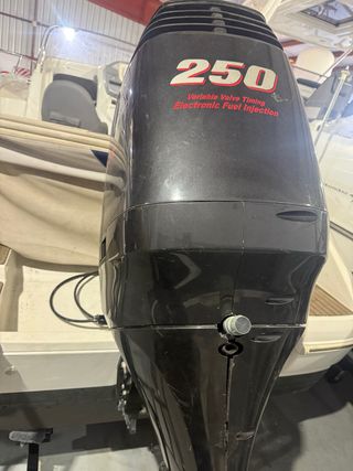Suzuki 250cv fueraborda