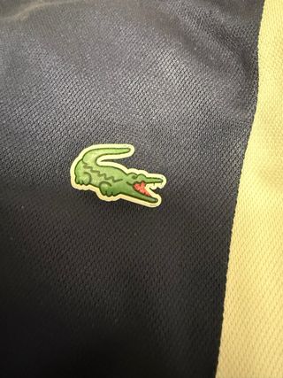 Sudadera Lacoste Azul y Verde