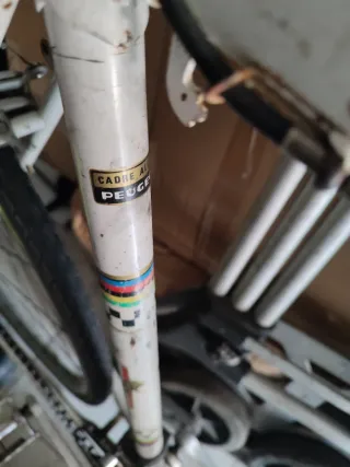 Bicicleta Peugeot Clásica