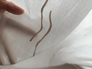 Panel japonés Beige y Blanco