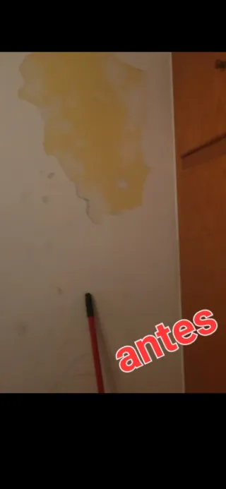 Pintor profesional -Cambio total sin obras