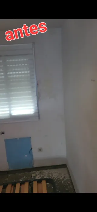 Pintor profesional -Cambio total sin obras