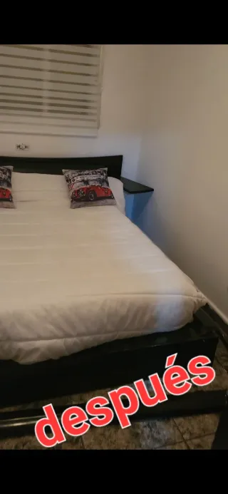 Pintor profesional -Cambio total sin obras