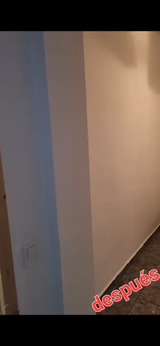 Pintor profesional -Cambio total sin obras