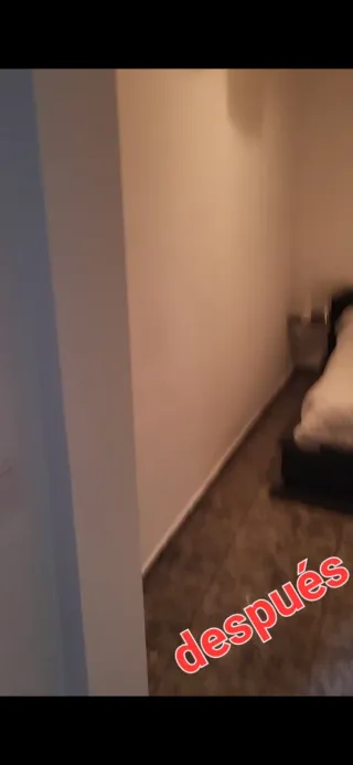 Pintor profesional -Cambio total sin obras